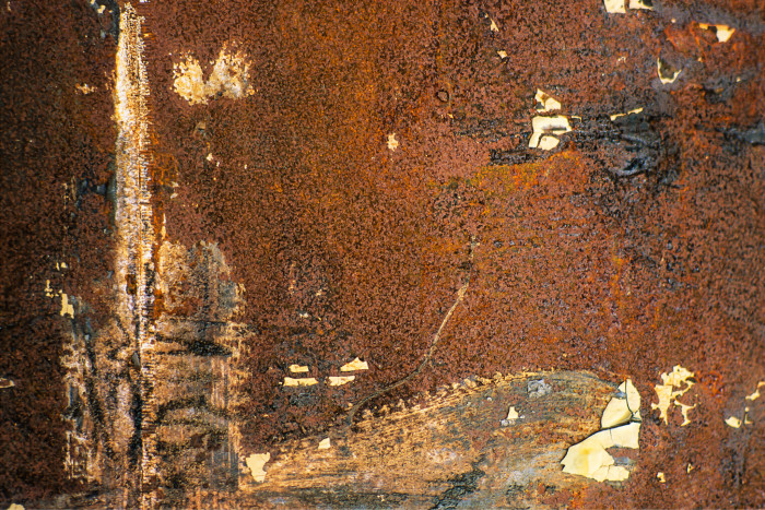 La imagen desnuda (negando a Roland Barthes)